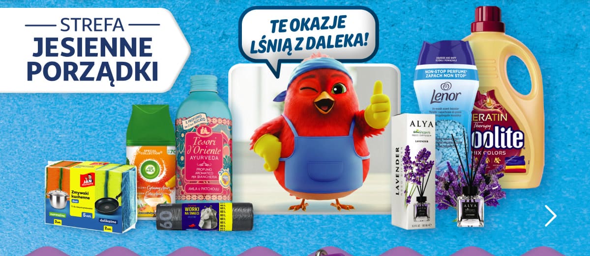 Strefa jesiennych porządków