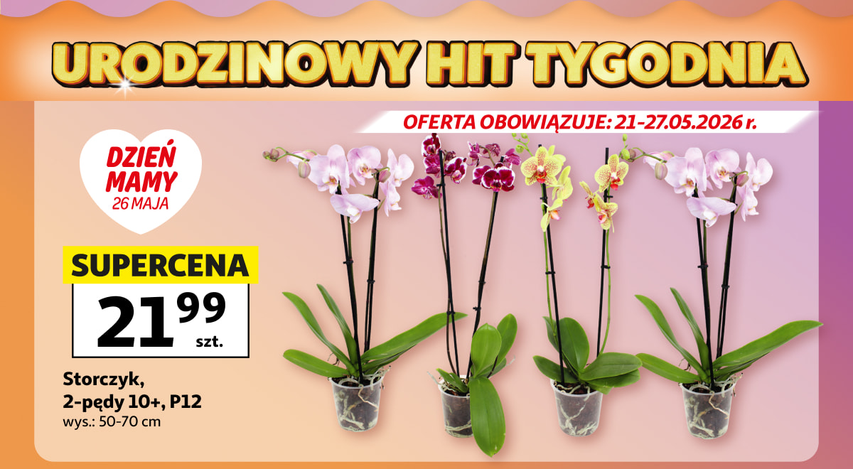 Urodzinowy hit tygodnia